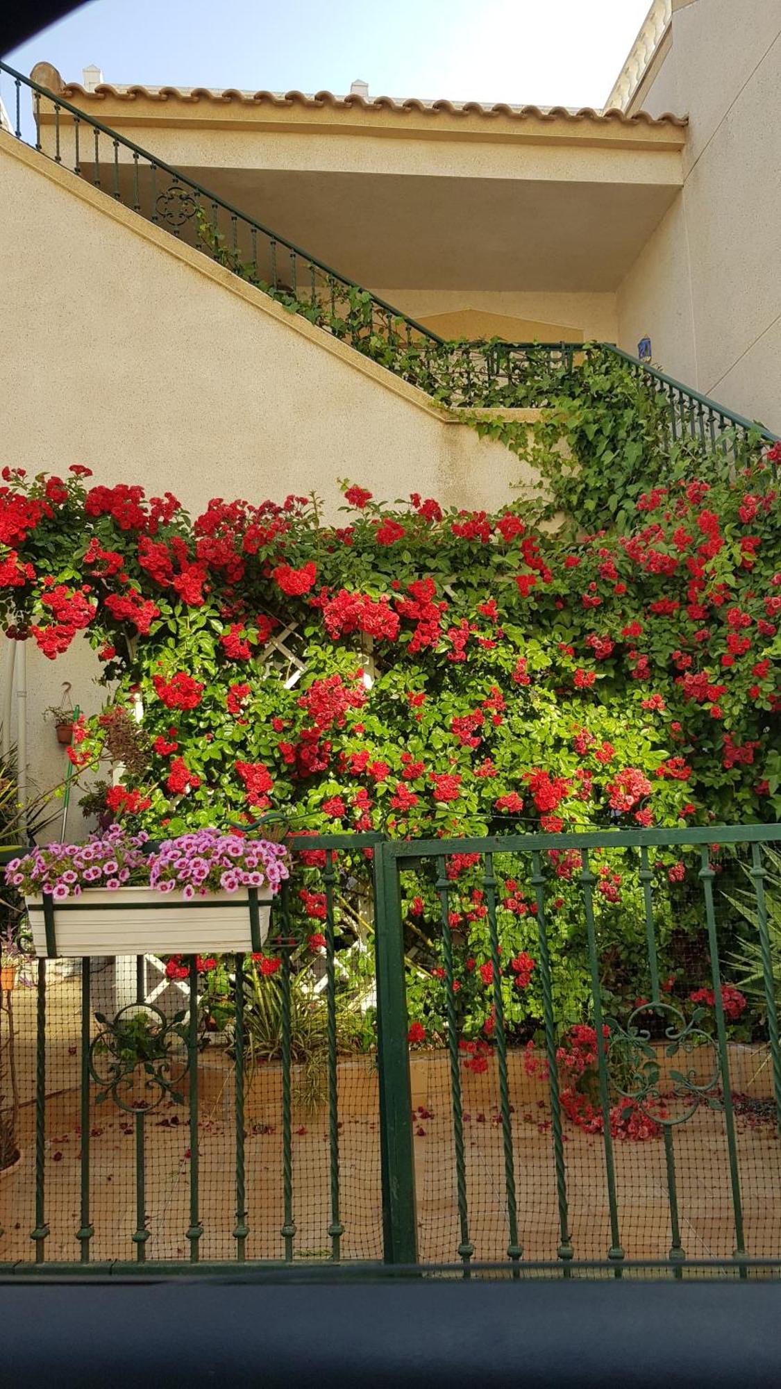Apartamento Montegolf Con Terraza Privada Los Dolses Экстерьер фото